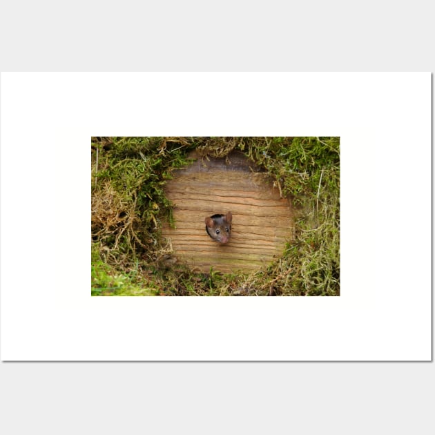 mouse in a hole Wall Art by Simon-dell